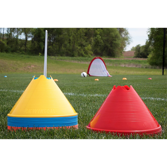 Large Disc Cone 12 Pack